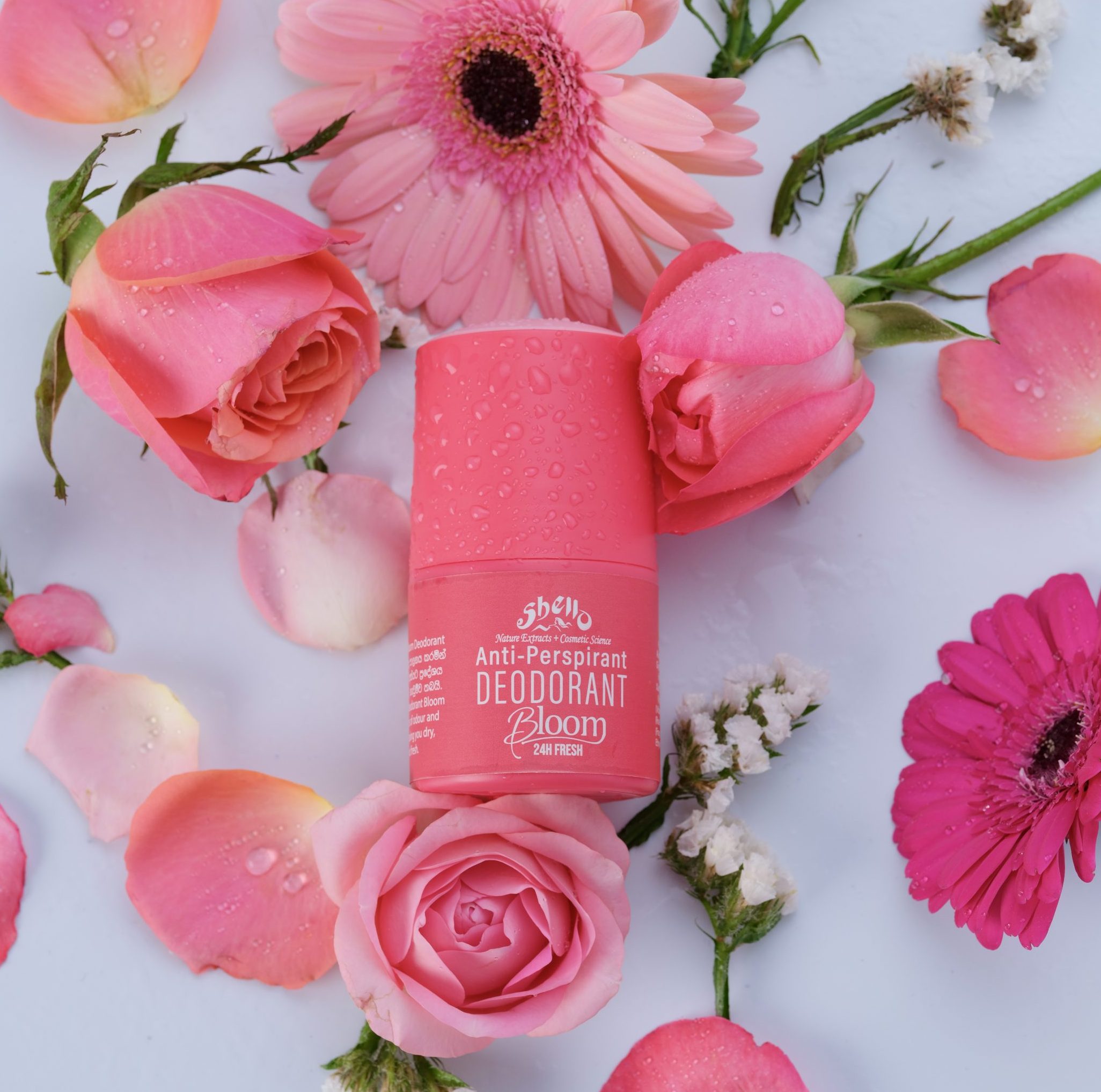 Suggest Product Thumbnail